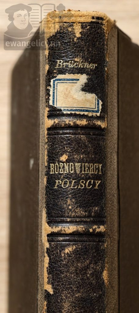 "Różnowiercy polscy. szkice obyczajowe i literackie", grzbiet oprawy